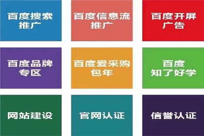 行业领先企业的SEM广告投放策略案例